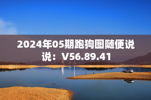 2024年05期跑狗图随便说说：V56.89.41