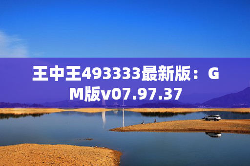 王中王493333最新版：GM版v07.97.37