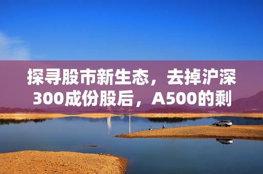 探寻股市新生态，去掉沪深300成份股后，A500的剩余元素解析