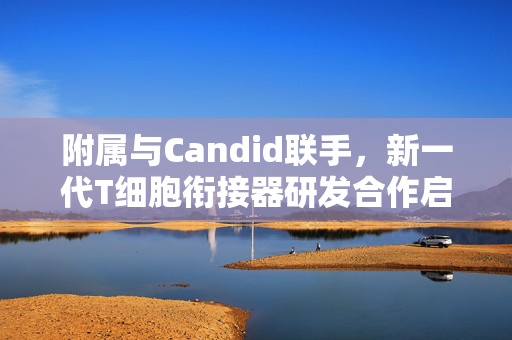 附属与Candid联手，新一代T细胞衔接器研发合作启动