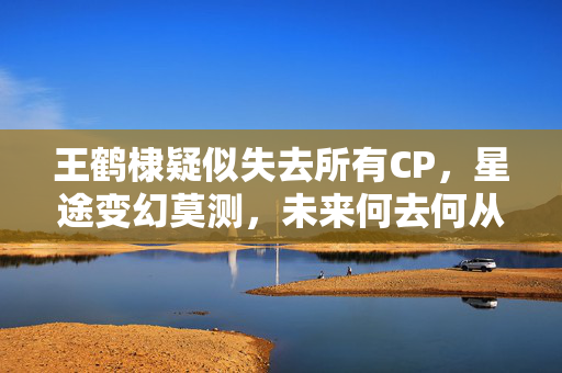 王鹤棣疑似失去所有CP，星途变幻莫测，未来何去何从？