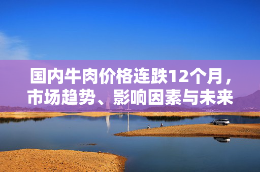 国内牛肉价格连跌12个月，市场趋势、影响因素与未来展望分析