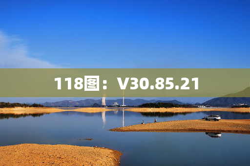 118图：V30.85.21