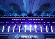 openGauss公布新进展：累计装机量达10万以上，在线下集中式关系型数据库新增市场份额达30.2%